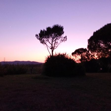 Borgo De' Muracci Ribolla エクステリア 写真