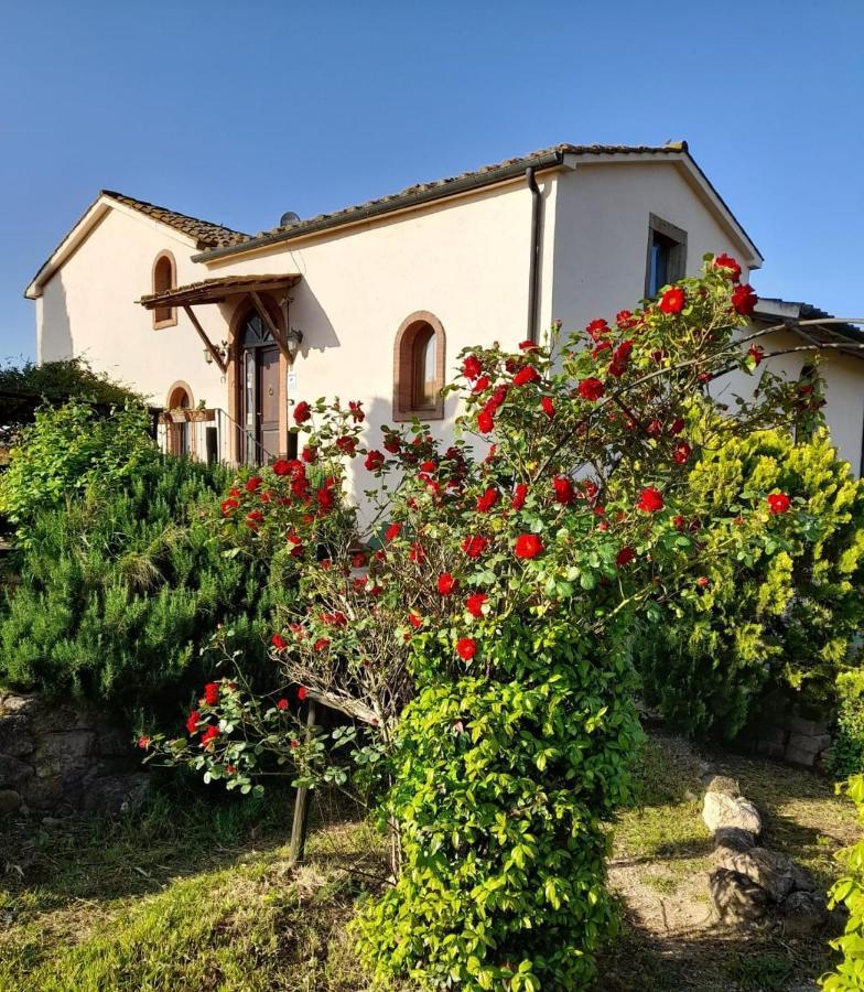 Borgo De' Muracci Ribolla エクステリア 写真