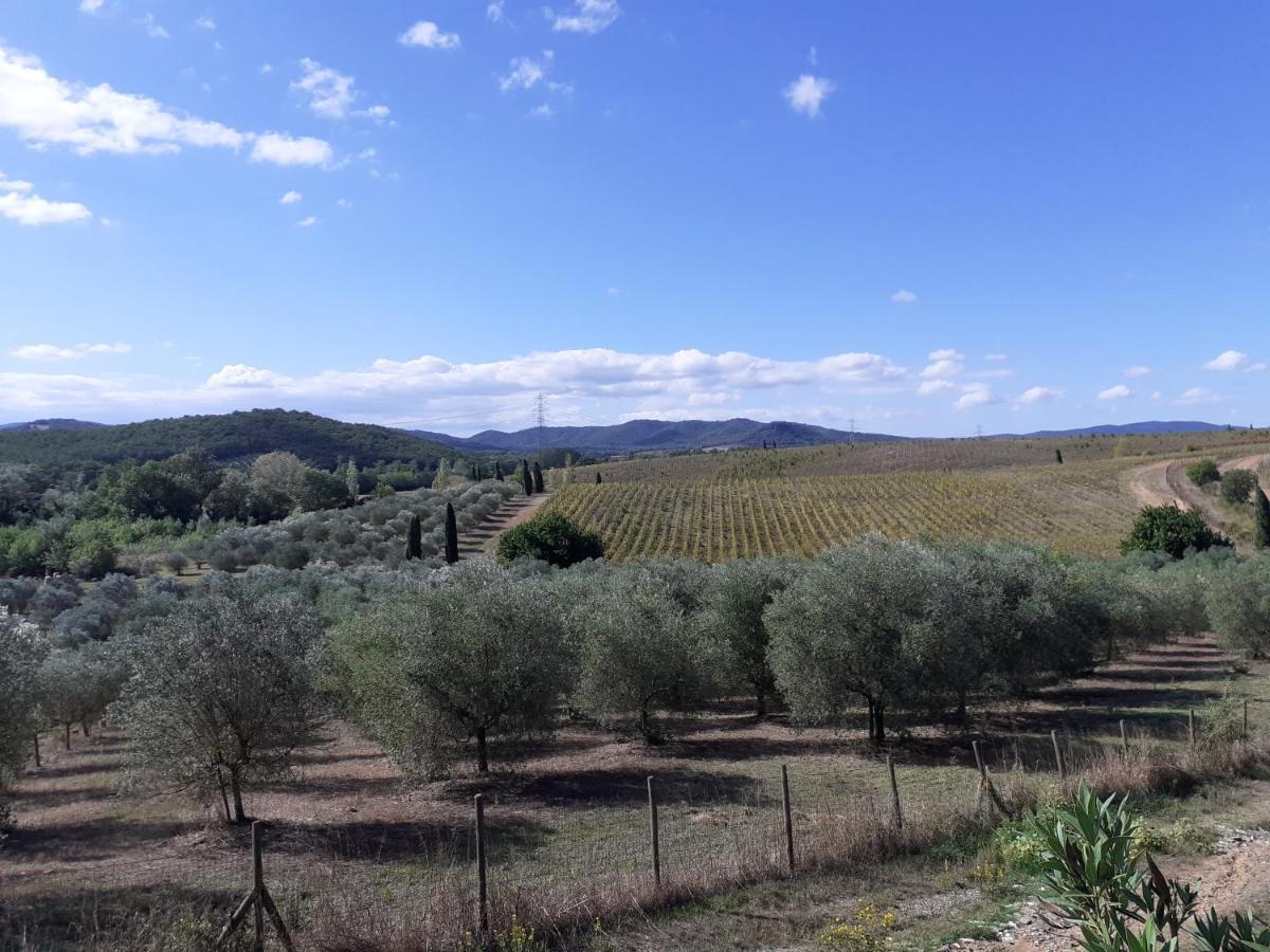 Borgo De' Muracci Ribolla エクステリア 写真
