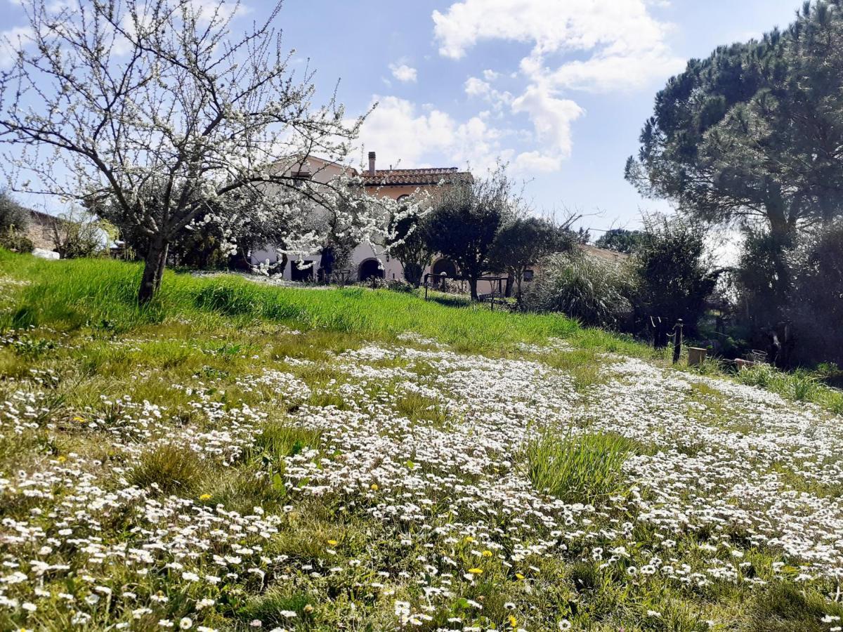 Borgo De' Muracci Ribolla エクステリア 写真