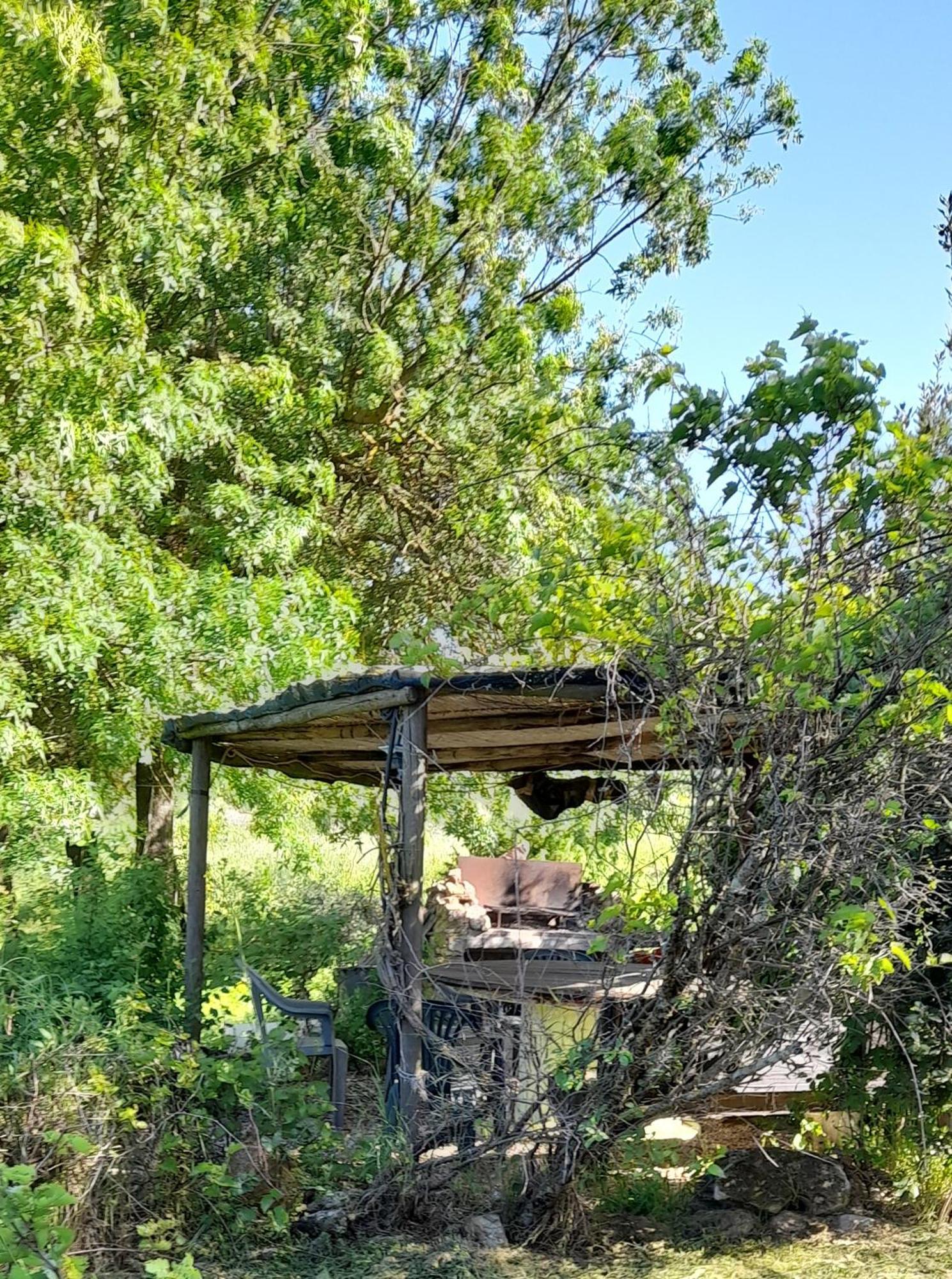 Borgo De' Muracci Ribolla エクステリア 写真