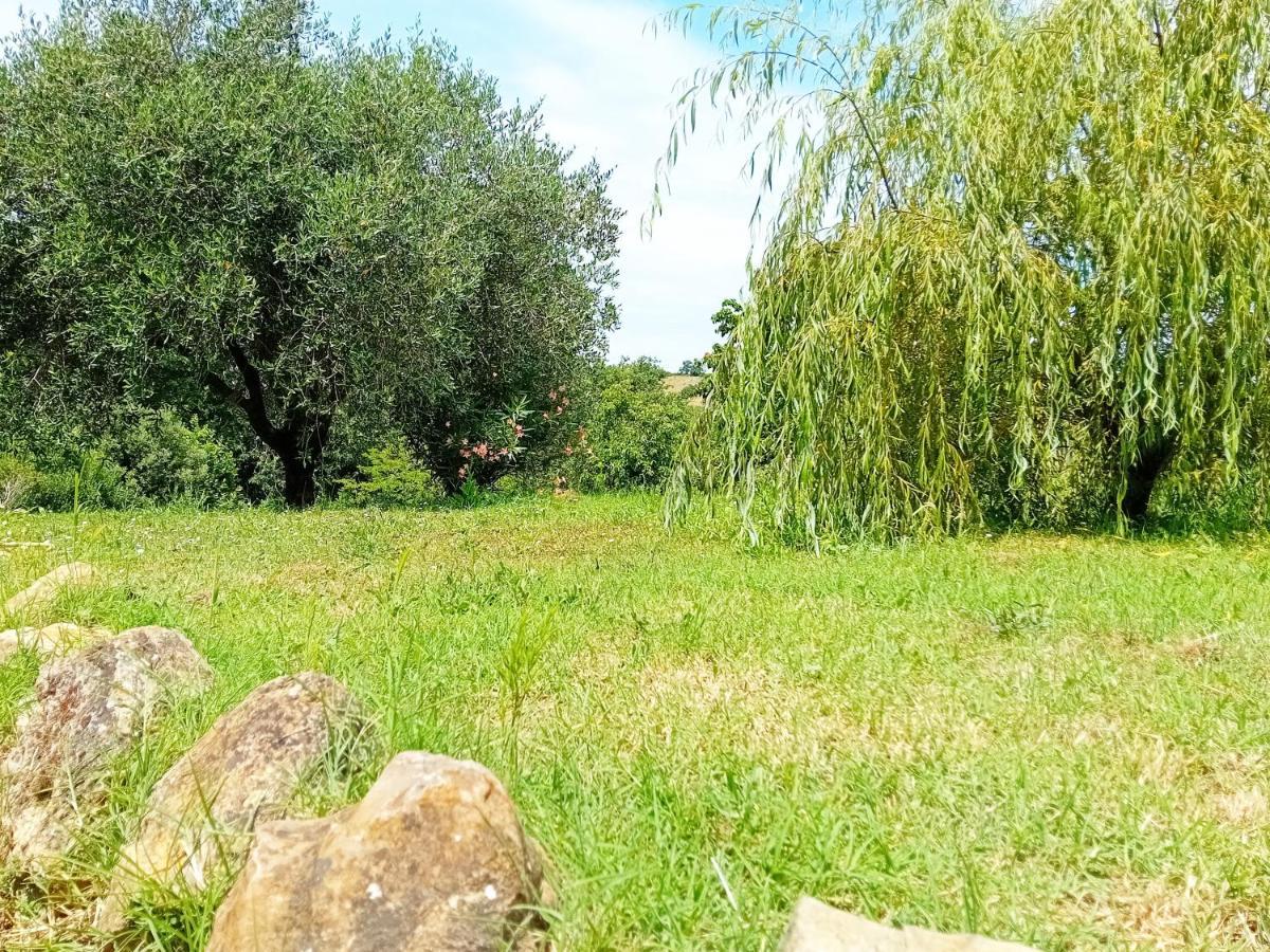 Borgo De' Muracci Ribolla エクステリア 写真