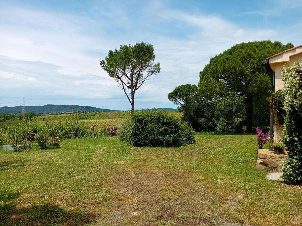 Borgo De' Muracci Ribolla エクステリア 写真