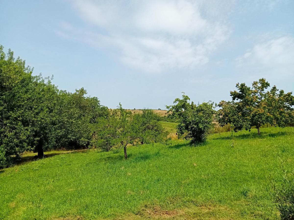 Borgo De' Muracci Ribolla エクステリア 写真