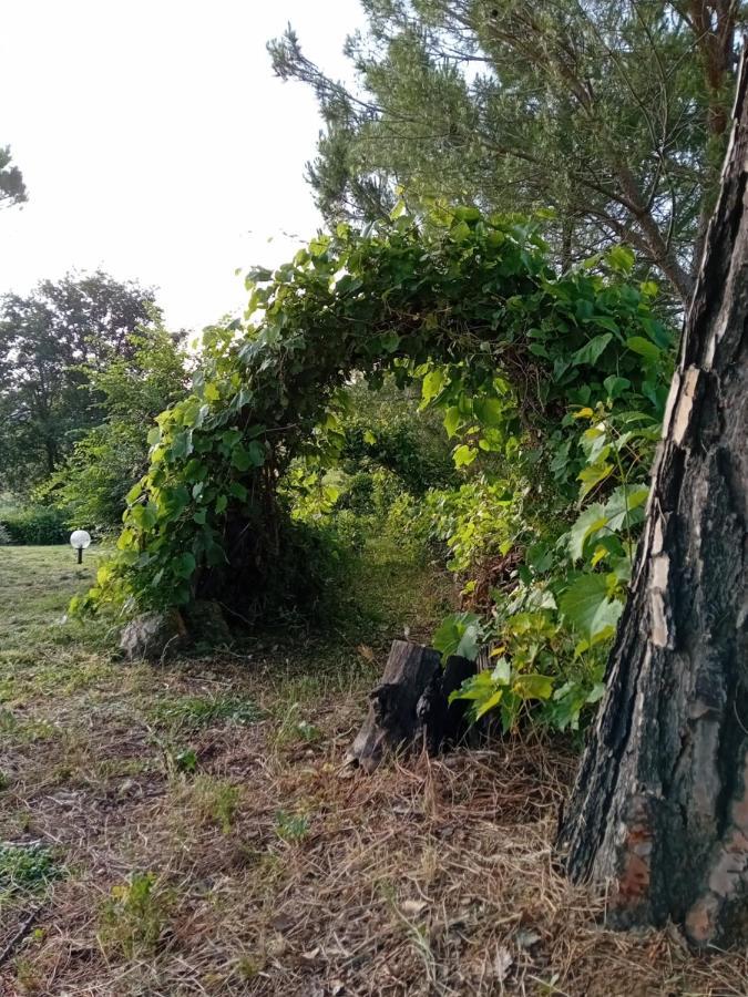 Borgo De' Muracci Ribolla エクステリア 写真