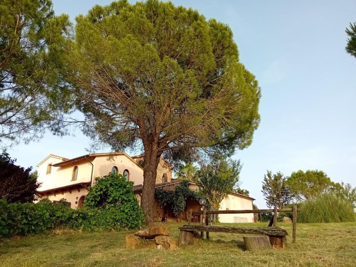 Borgo De' Muracci Ribolla エクステリア 写真