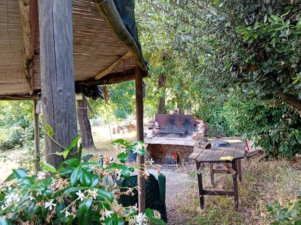 Borgo De' Muracci Ribolla エクステリア 写真