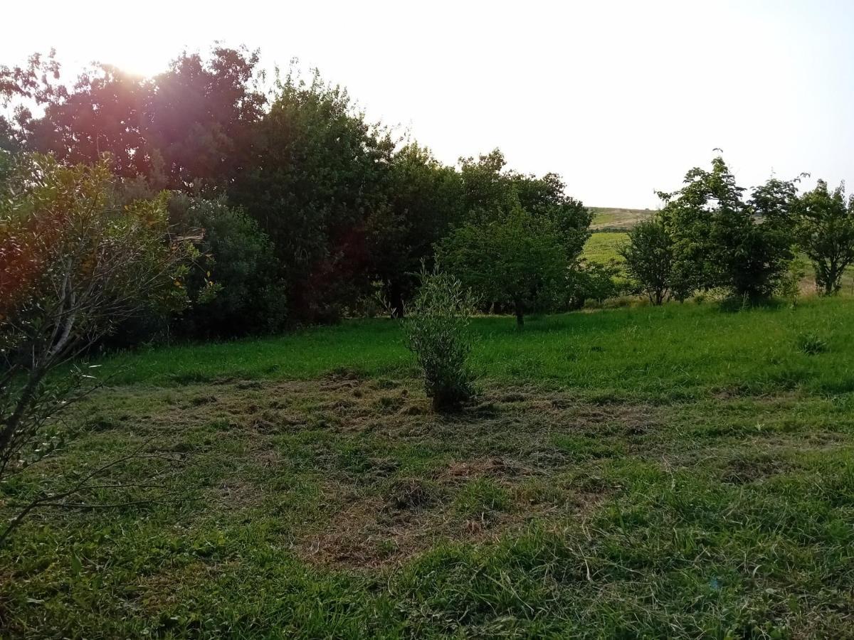 Borgo De' Muracci Ribolla エクステリア 写真