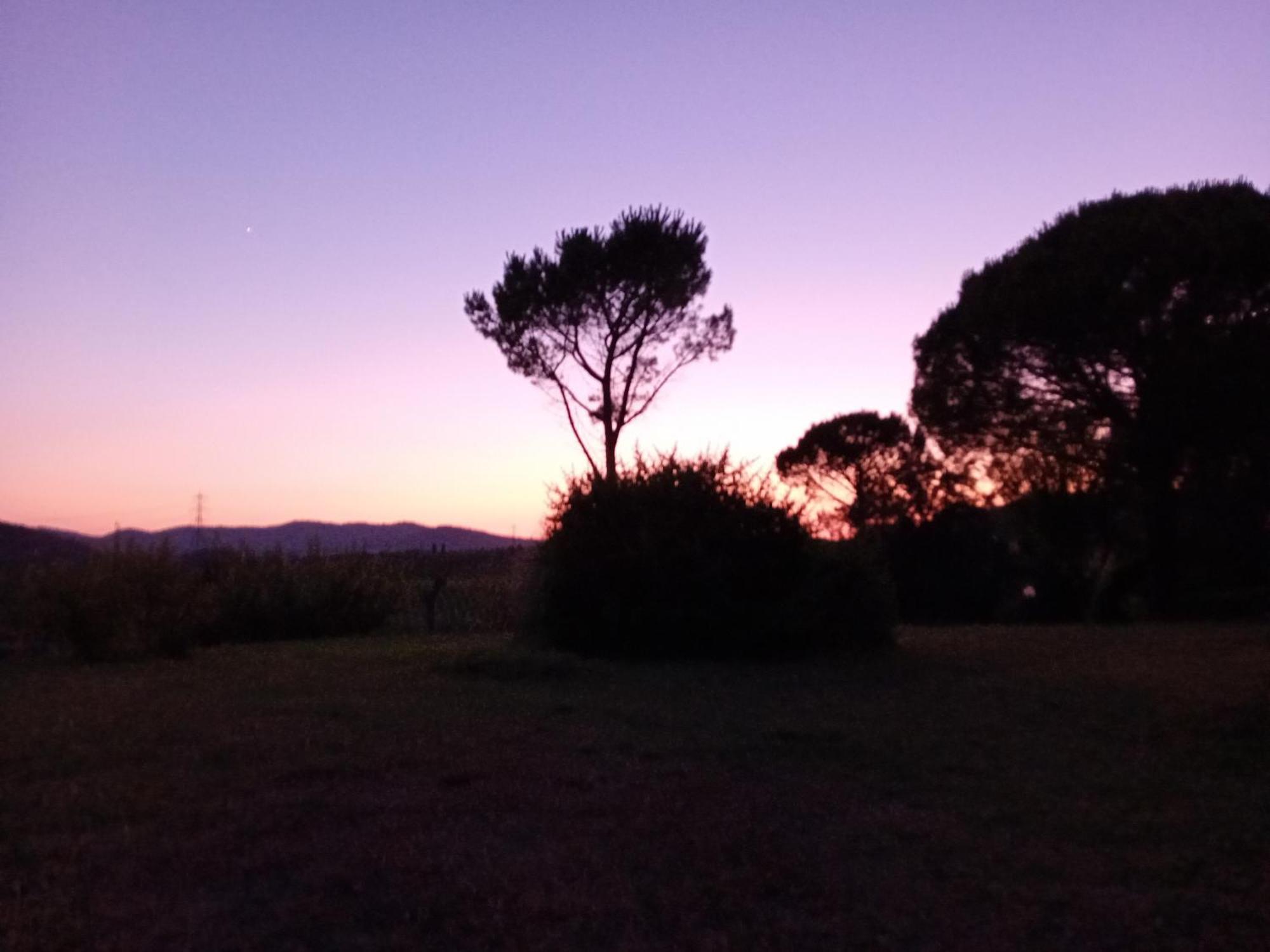 Borgo De' Muracci Ribolla エクステリア 写真